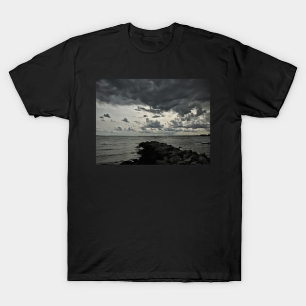 Cloudy Day Inspiration T-Shirt by cannibaljp